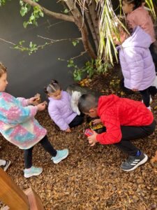 educational activities for kindergarten