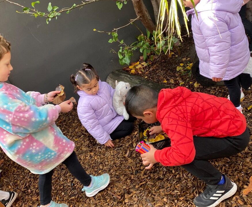 educational activities for kindergarten